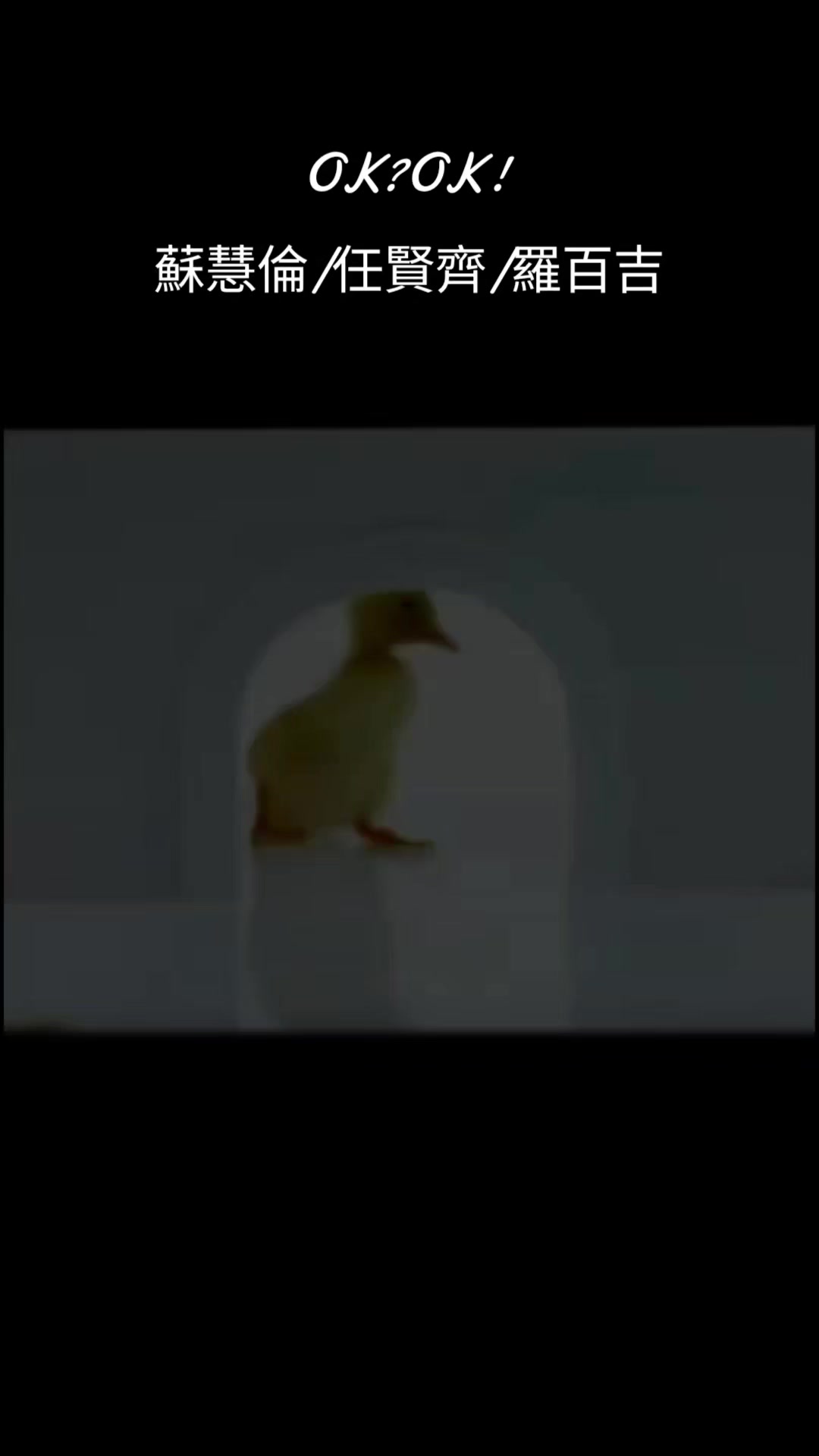 @💞如果🎶