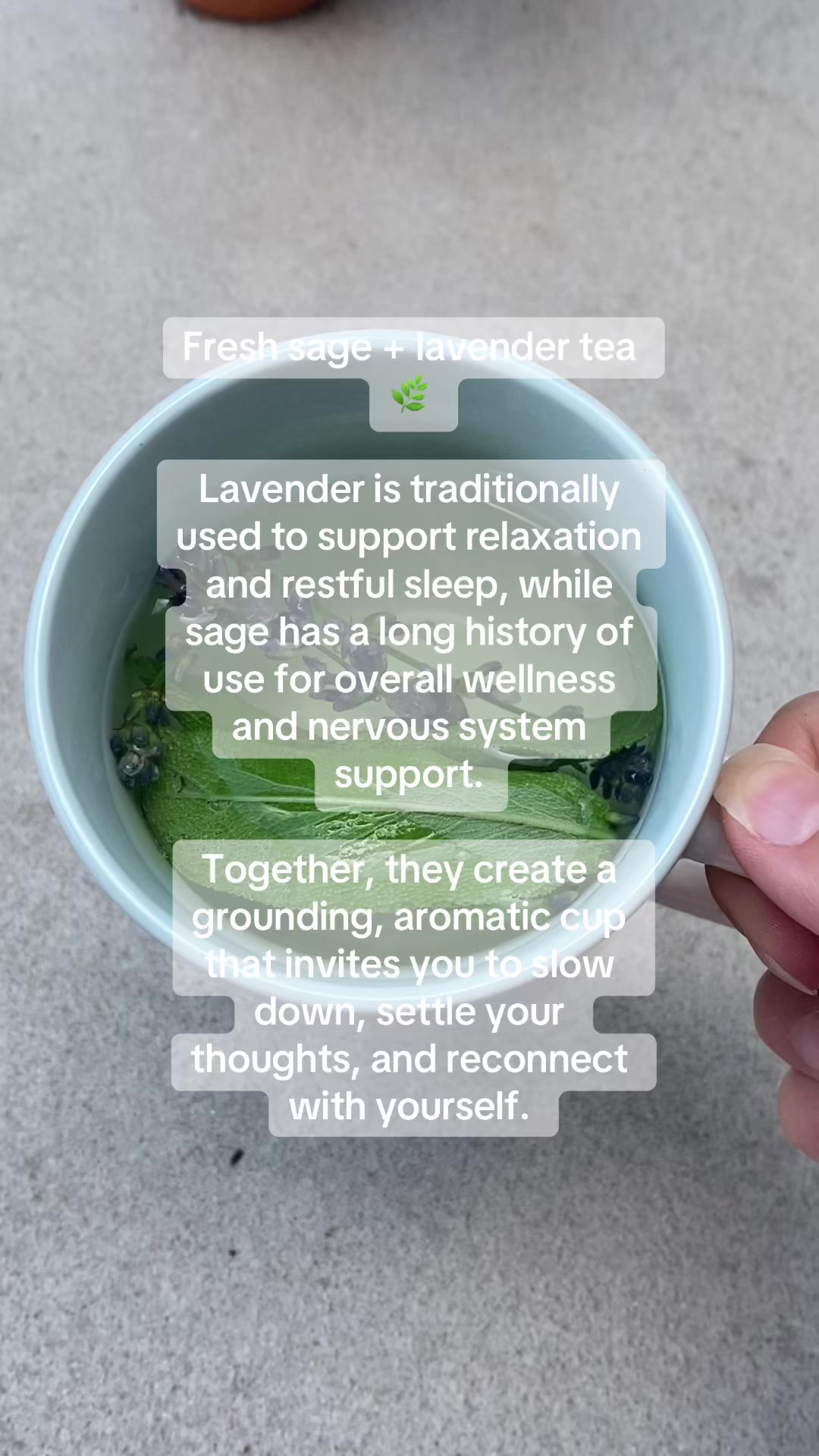 @Moontime Apothecary 🇨🇦