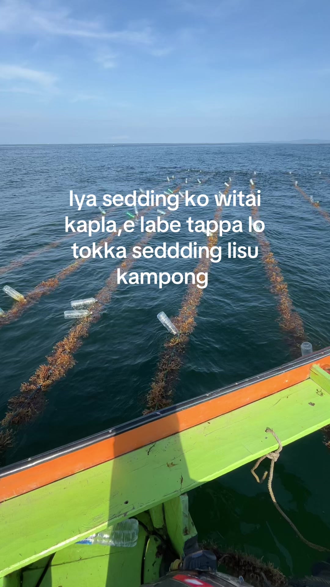 @Rezaaaaa@