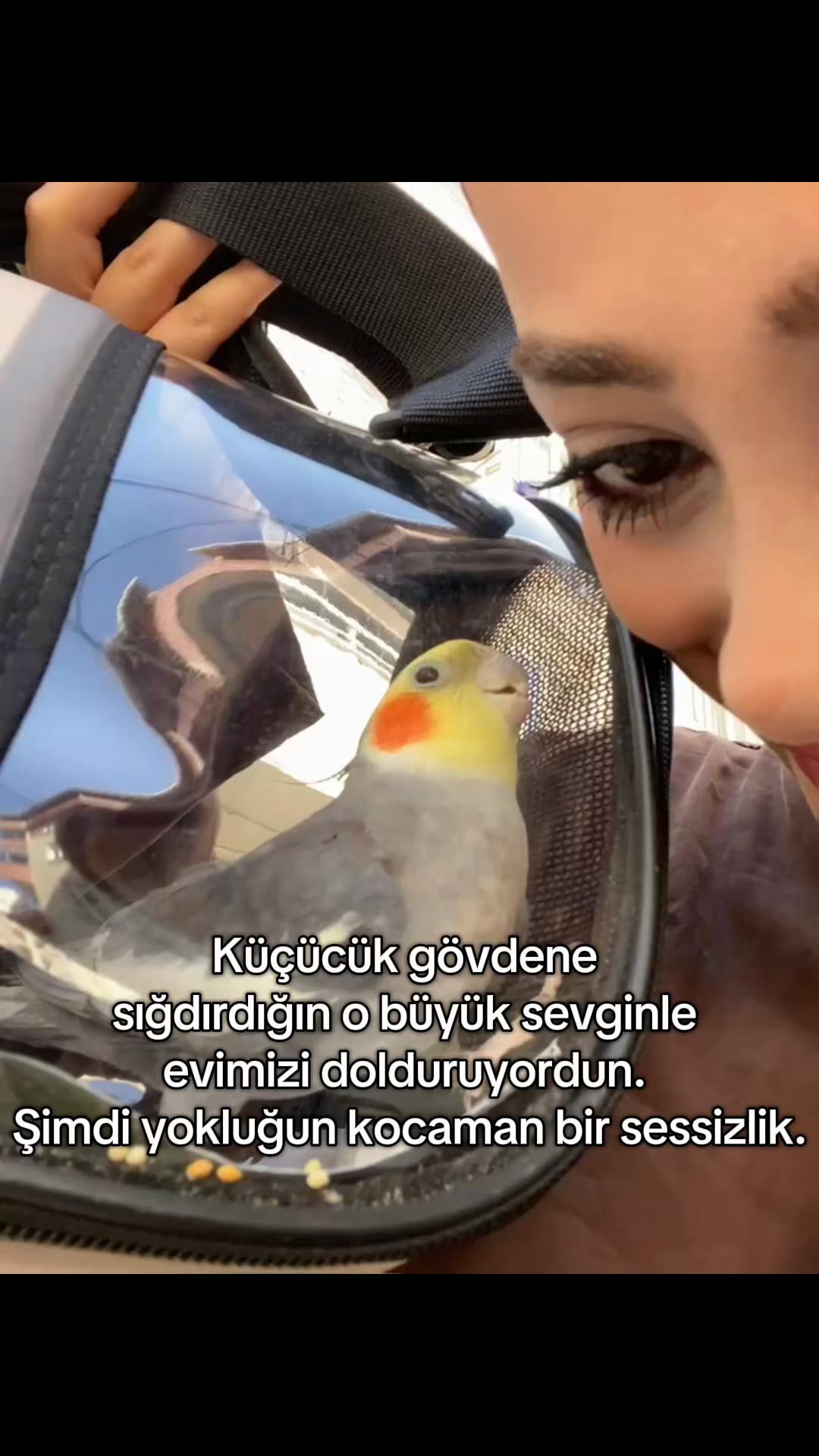 @zynpkyaaa_