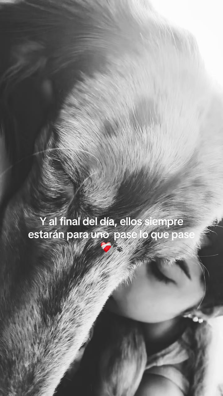 @MariV 🫧