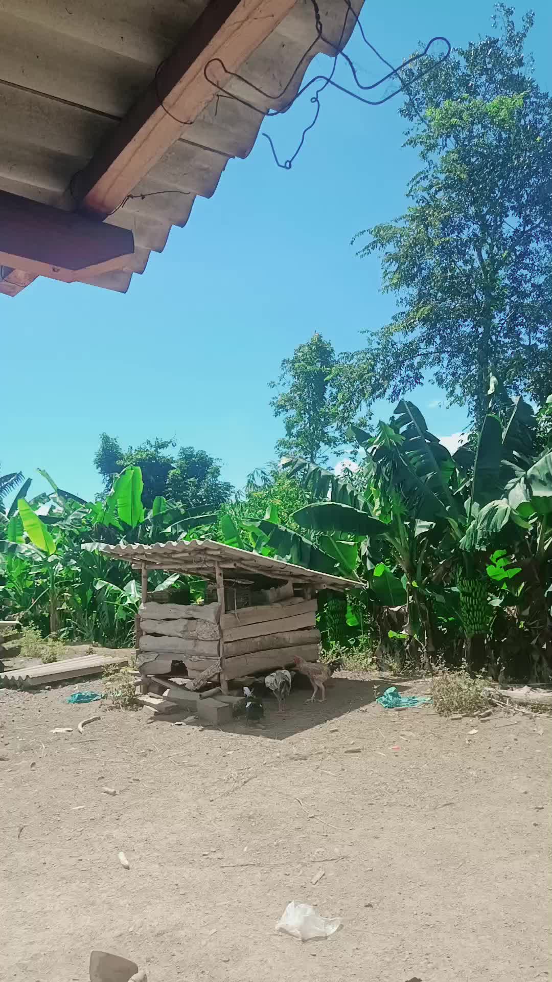 @CHẬM LẠI MỘT CH&Uacute;T🍀