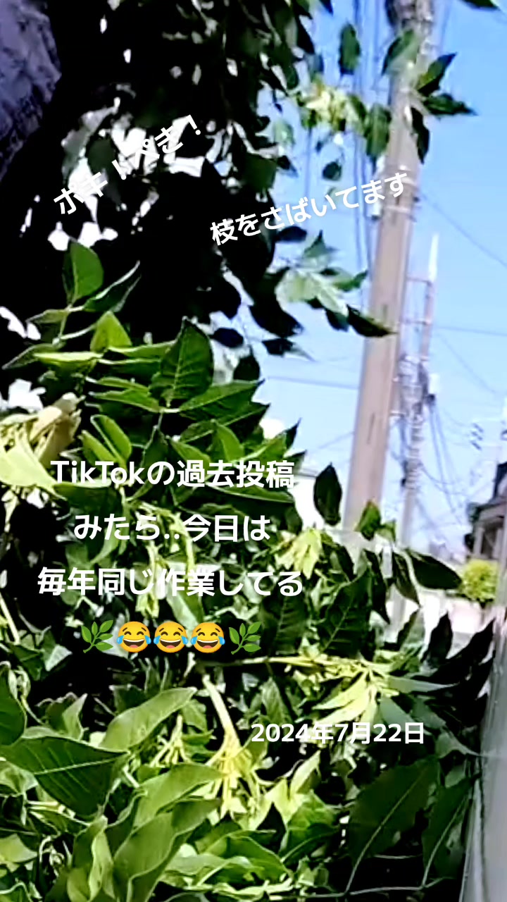 @🌿ありごれん🌿薬草🌿