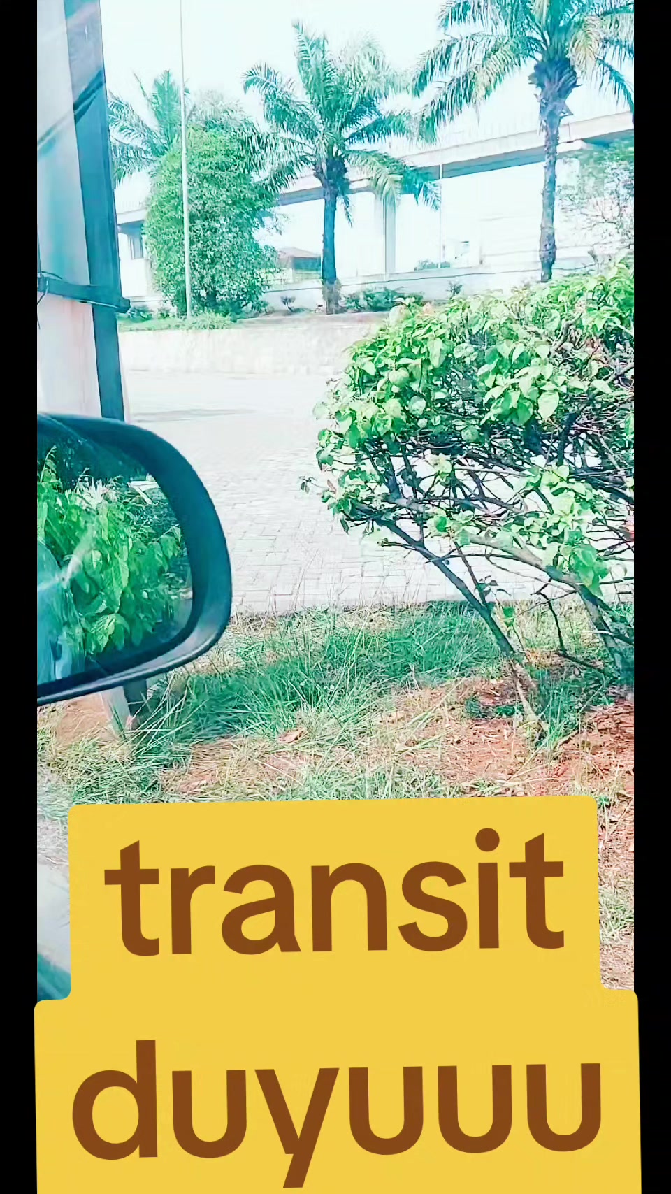@tolethamvan