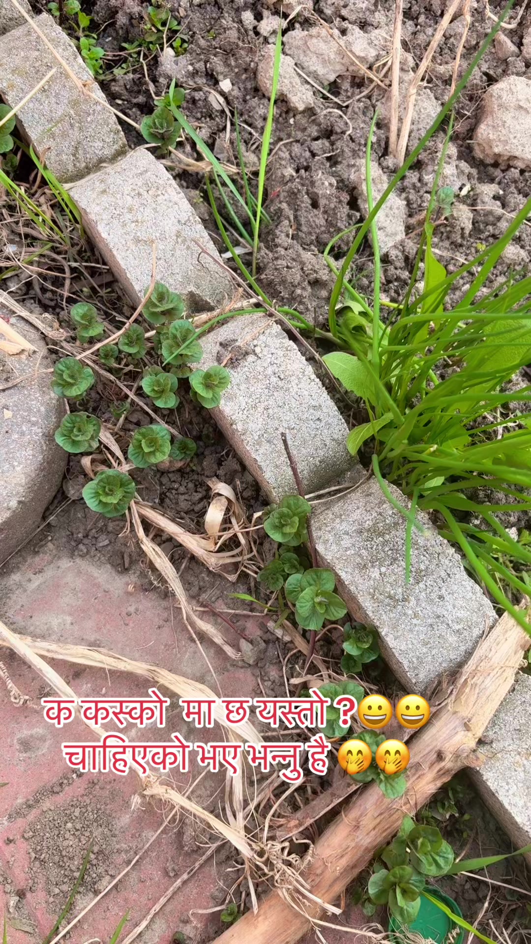 @Yashu mht 🇳🇵🇳🇵