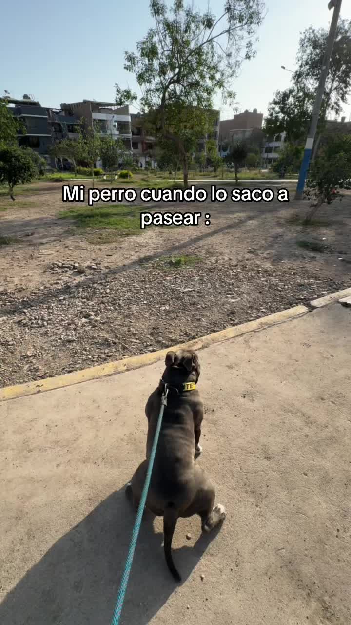 @Joaco🦇🥀