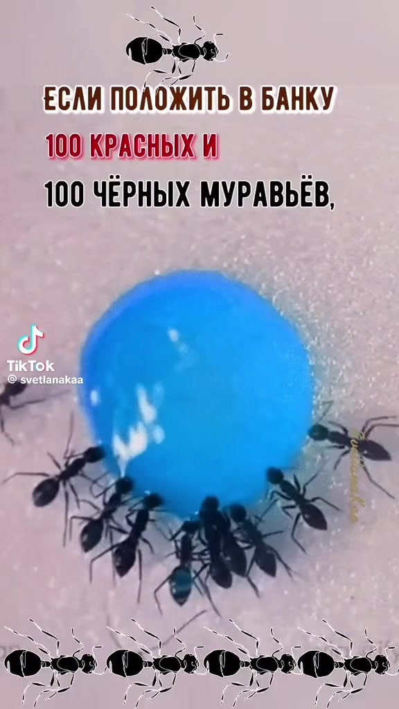 @🇷🇺 Авто Леди - Татьяна🇷🇺