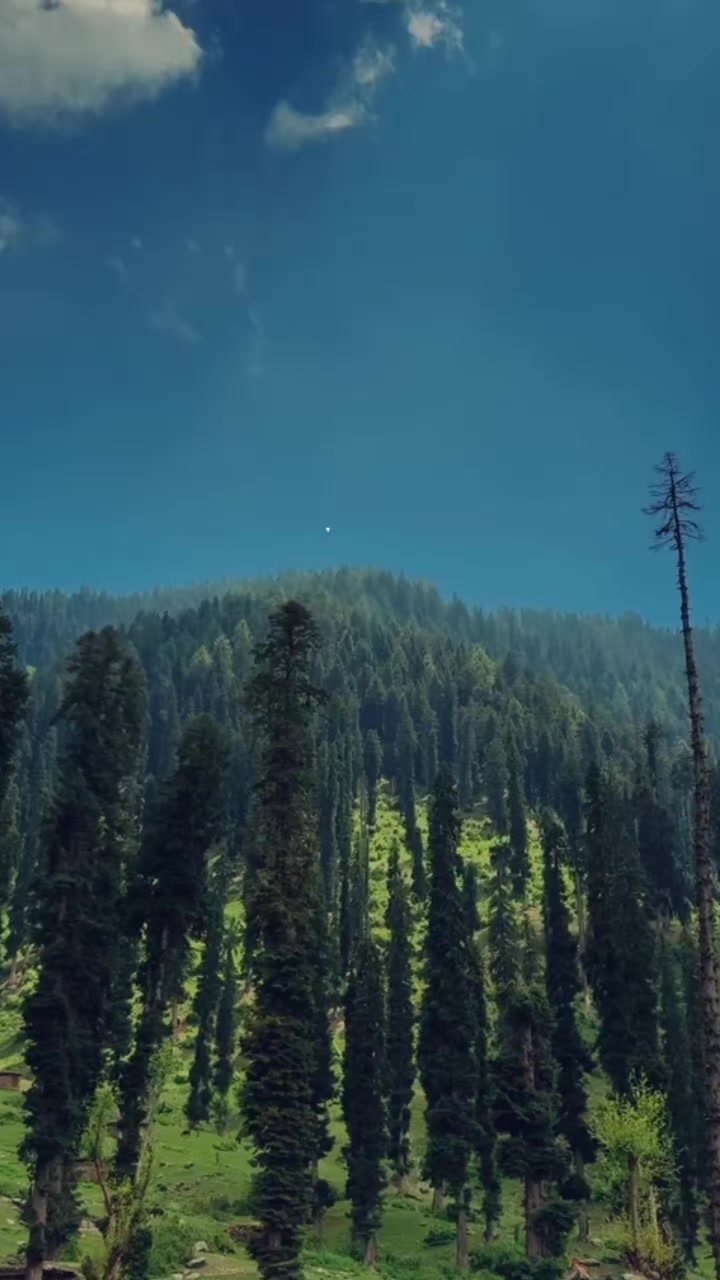 @ᦓꪀꫀꫝꪖ