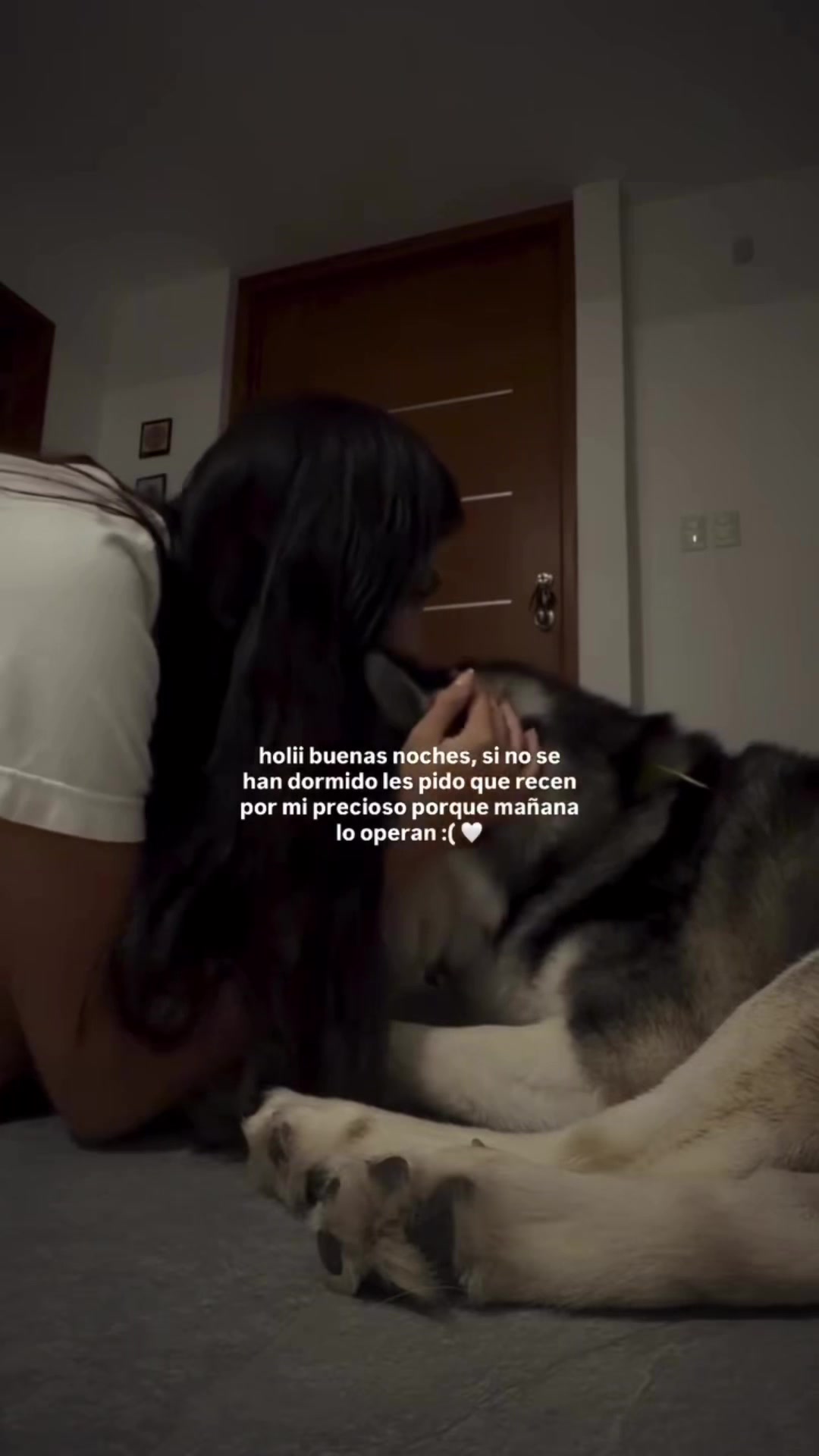 @𝓕𝓪𝓷 𝓮𝓭𝓲𝓽𝓲𝓸𝓷𝓼