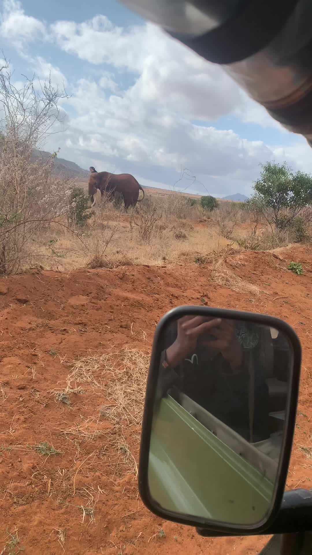 @Zangada Africa