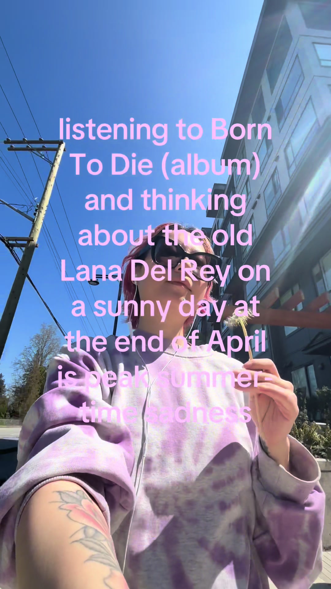 @Sunny daydream