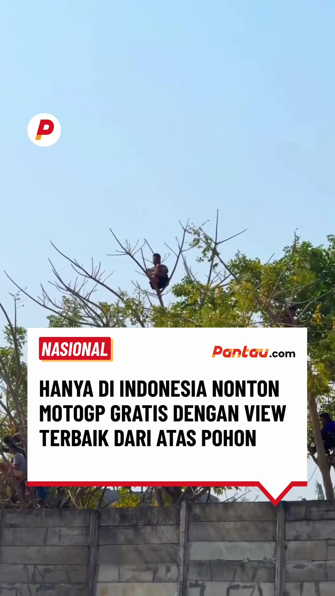 @pantau.com