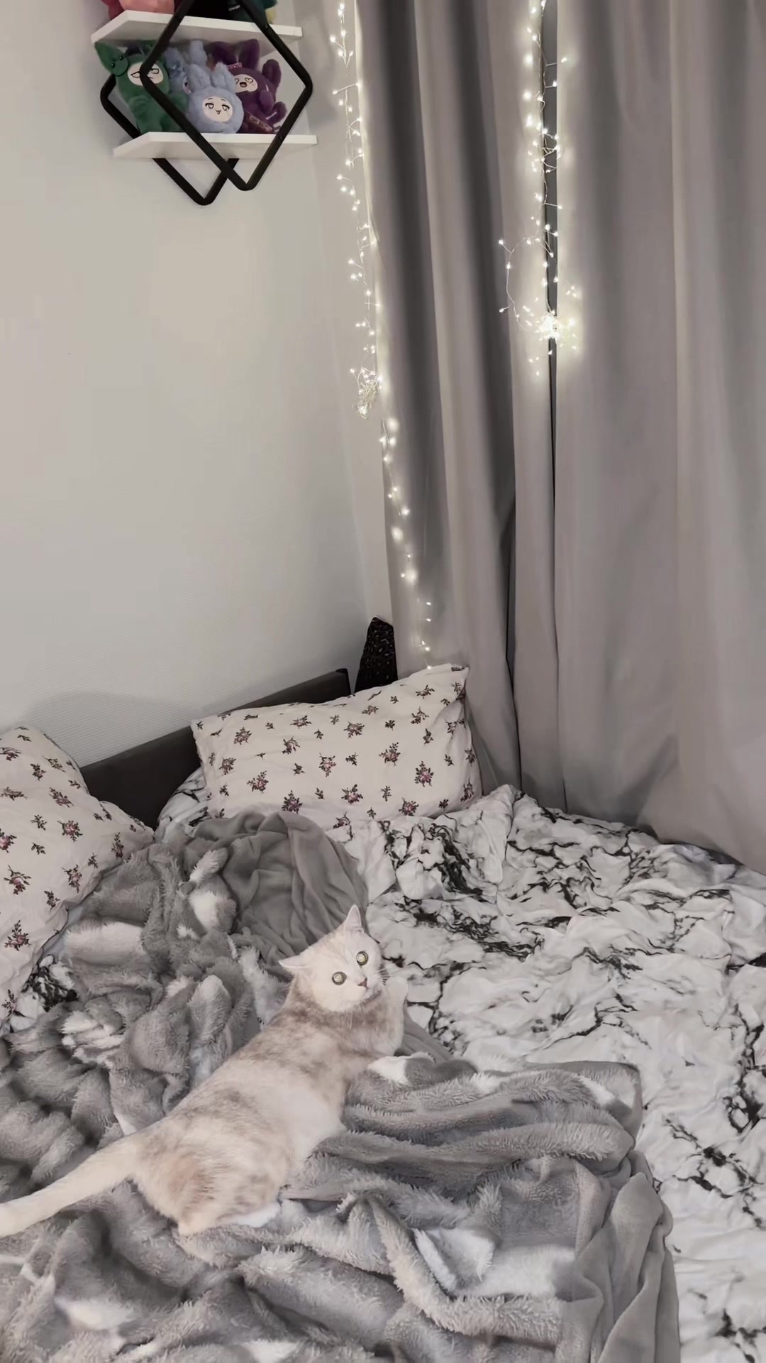 @кошечка