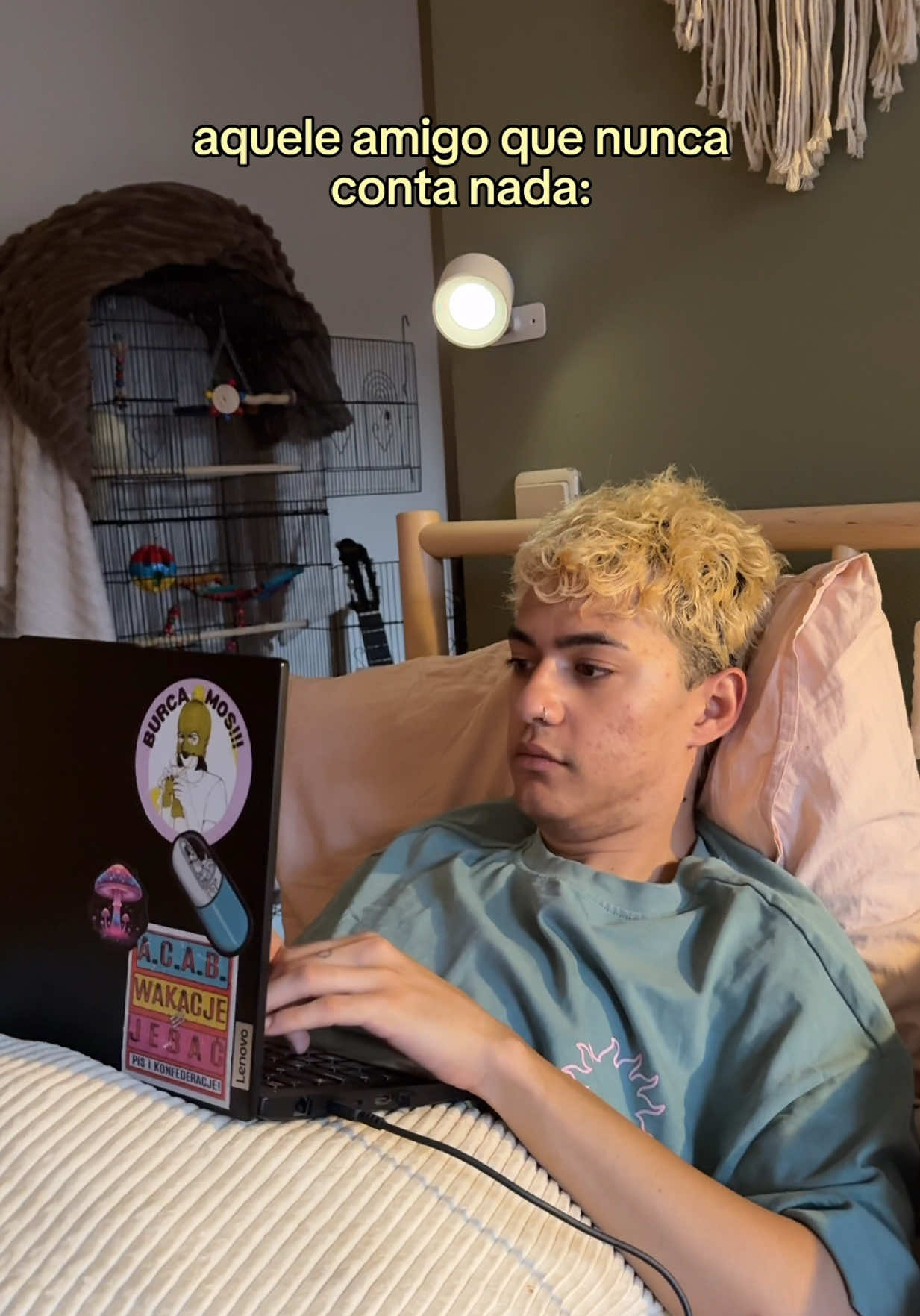 @estavu