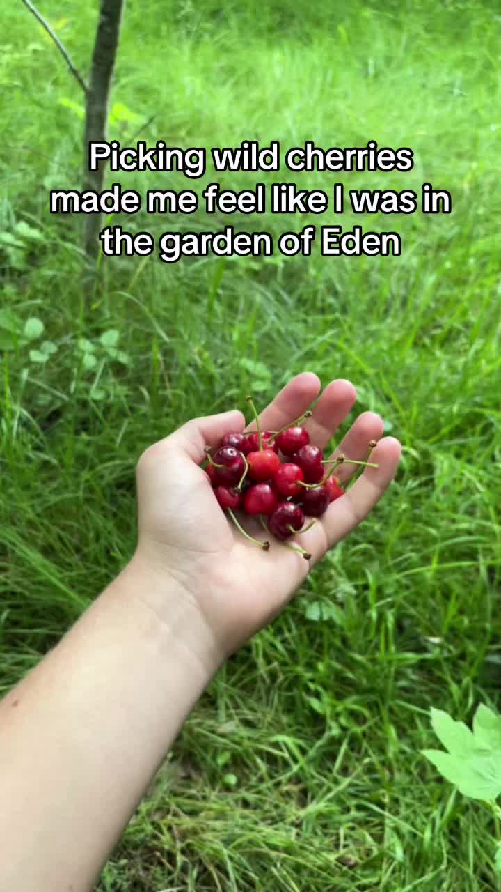 @robin.s1e