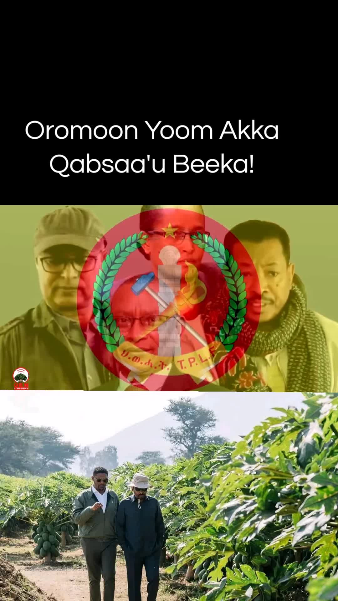 @Shimallis Abdisa Parody