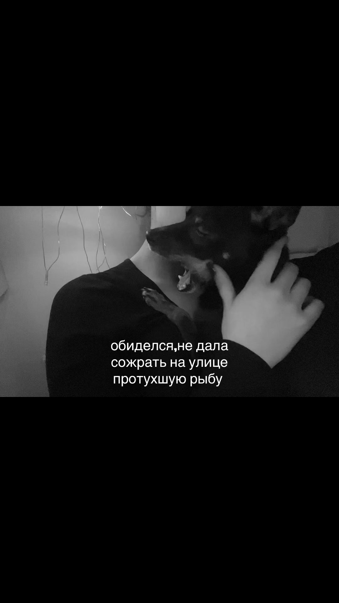 @。・&deg;&deg;Геля Джан &deg;&deg;・。