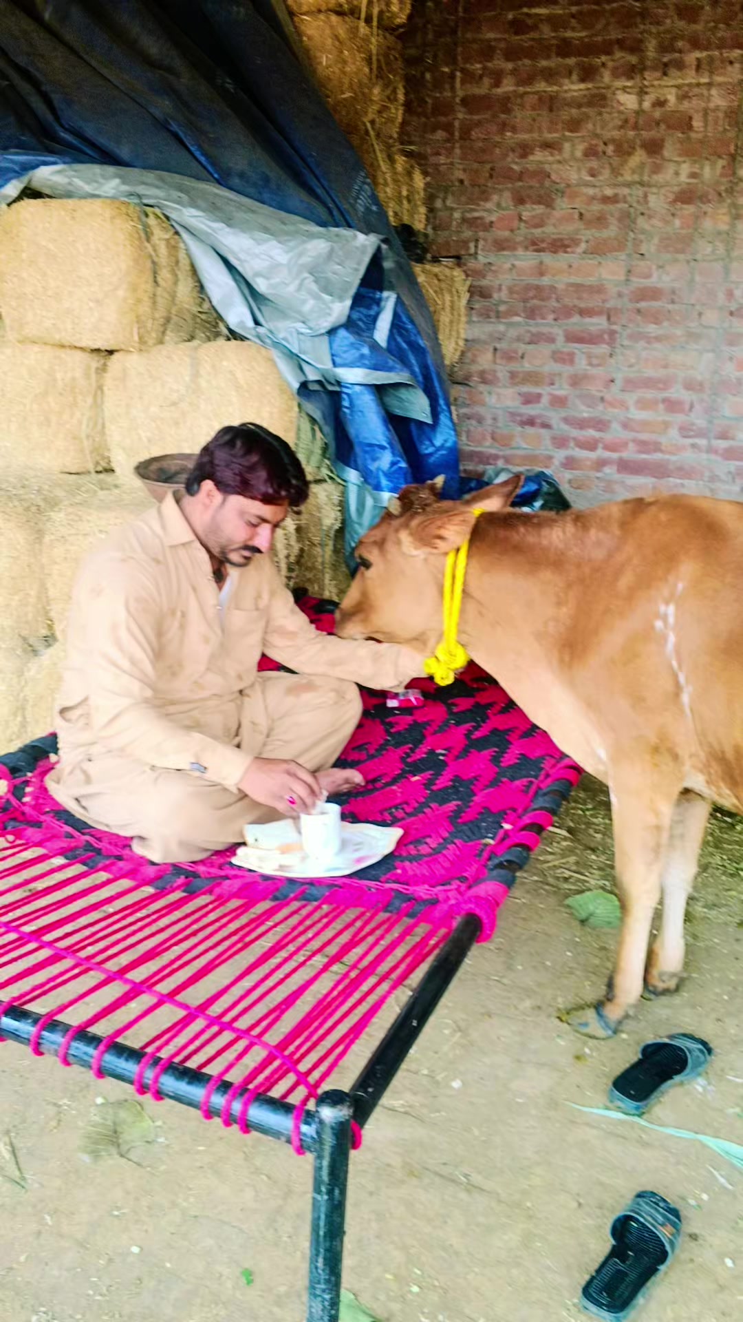 @kaka qasai 745