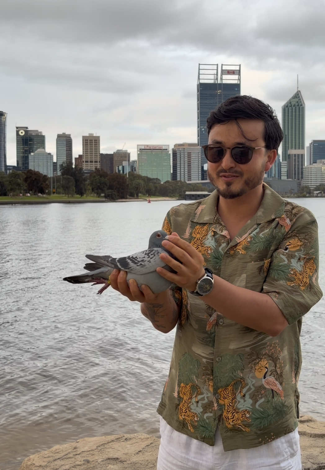 @pigeon.papii