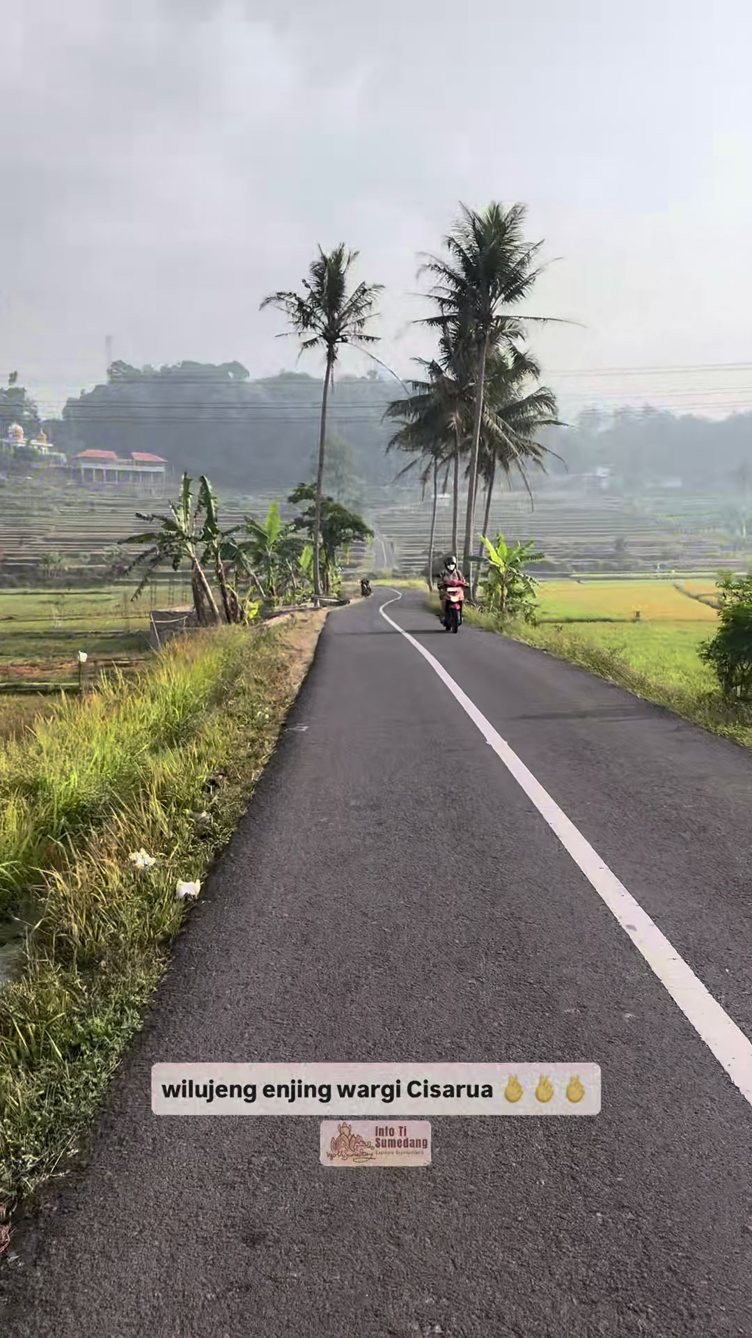@infotisumedang