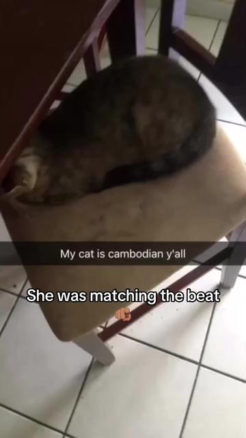 @soy សុយ វិច្នី 🇰🇭