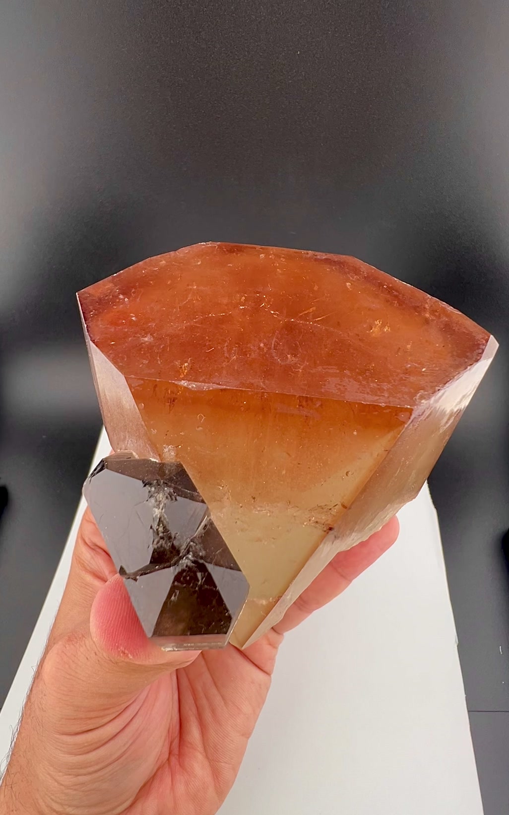 @Minerals Paradise
