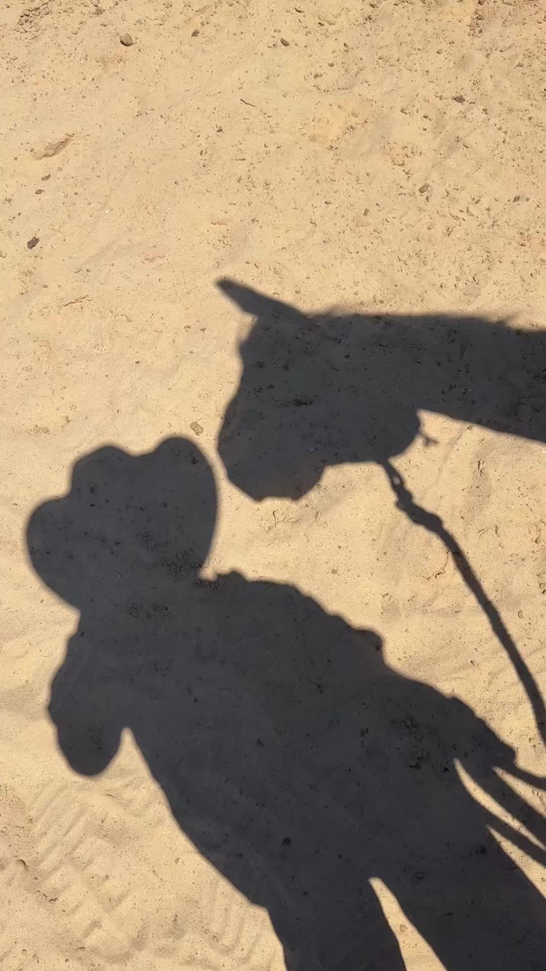 @kowpoke_kenzie