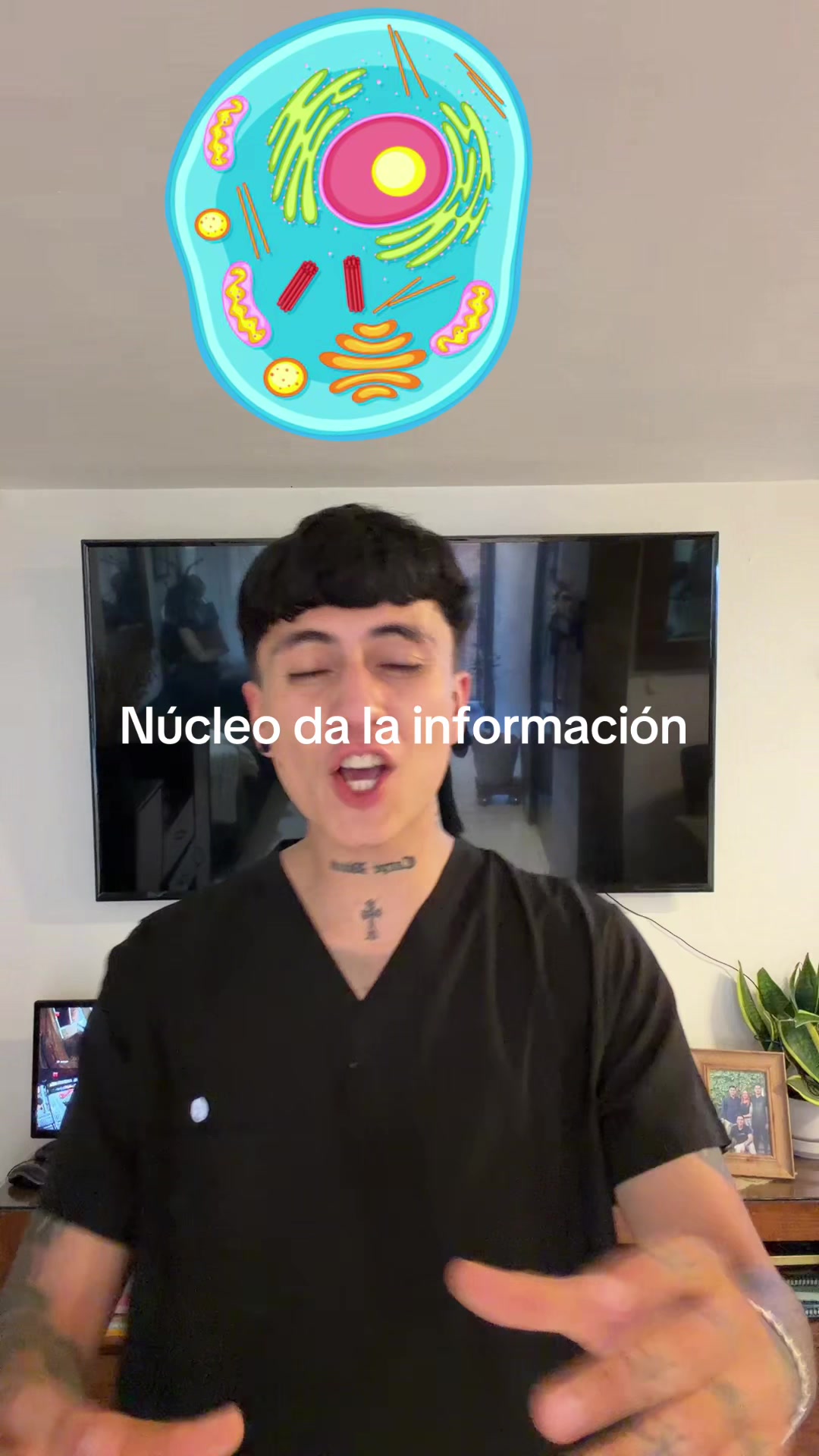 @ENDOBOY