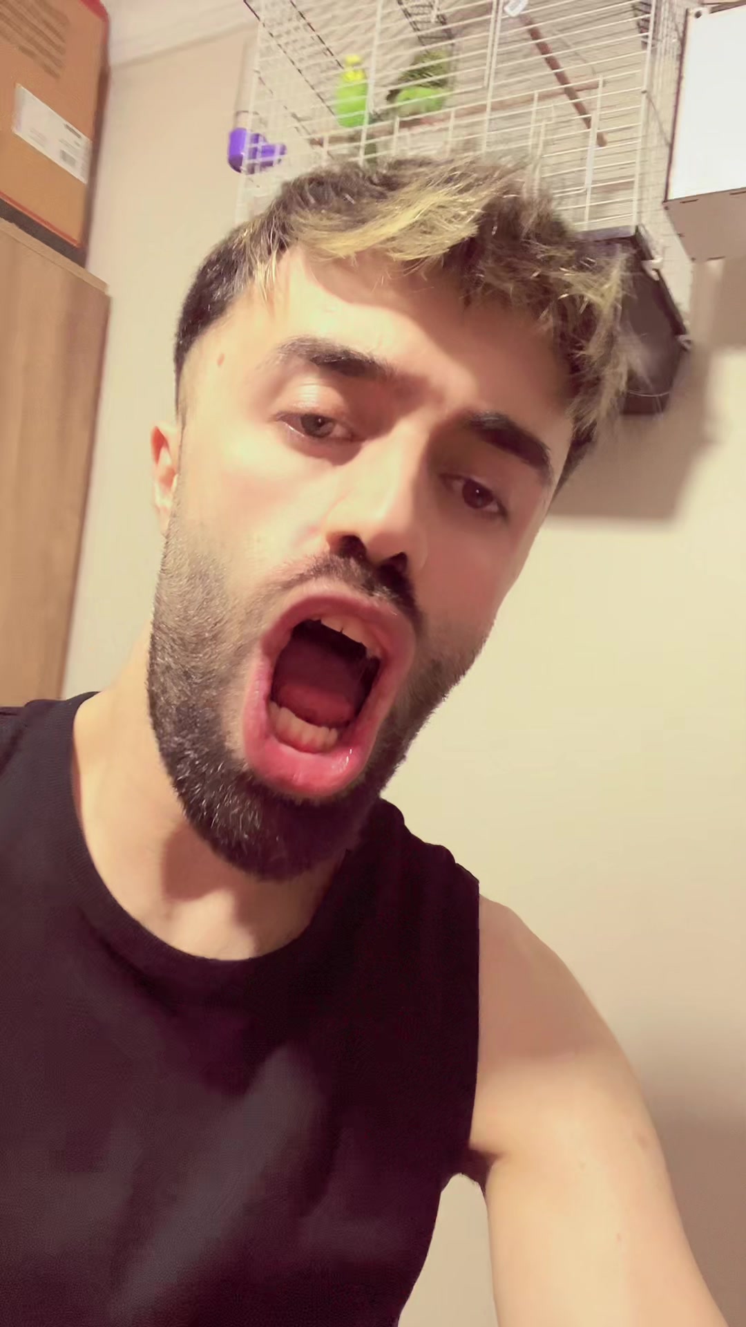 @wolfcub.3437