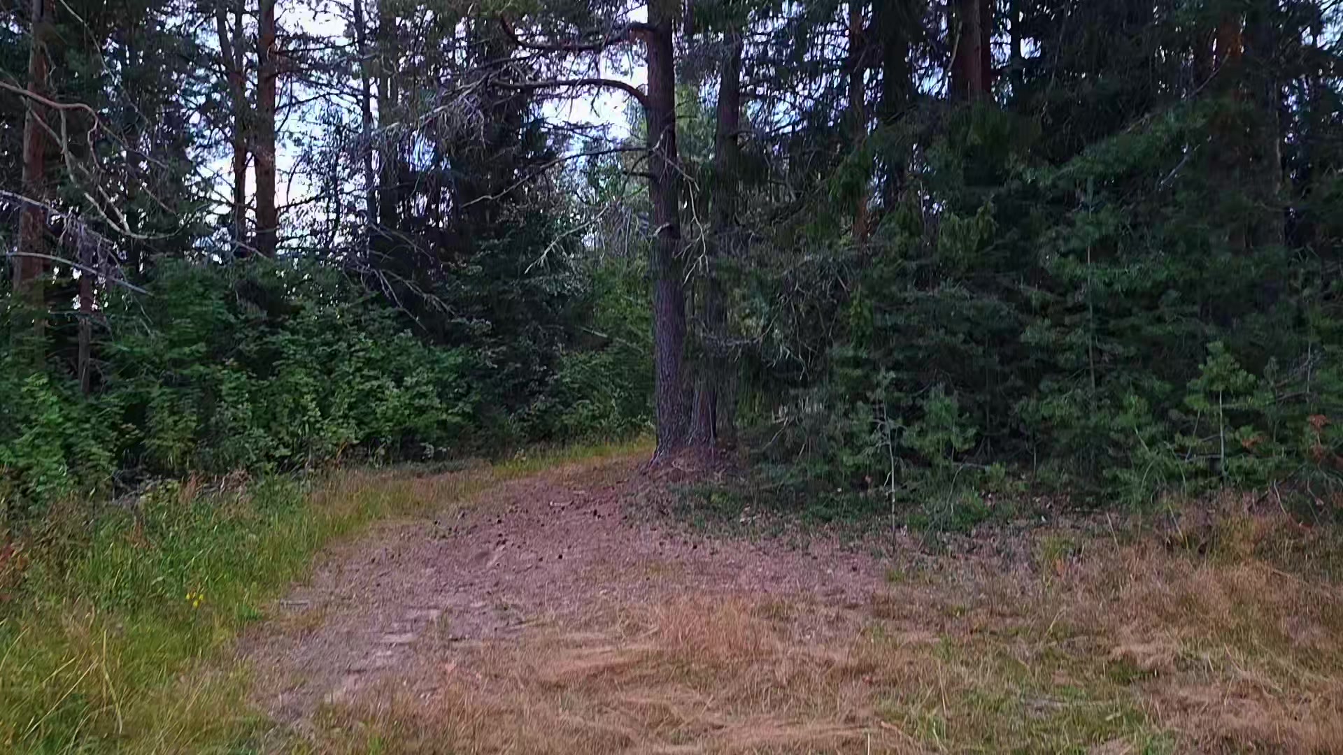 @𝘄𝗲𝗿𝘂𝗹𝗮𝘀𝗲𝗻