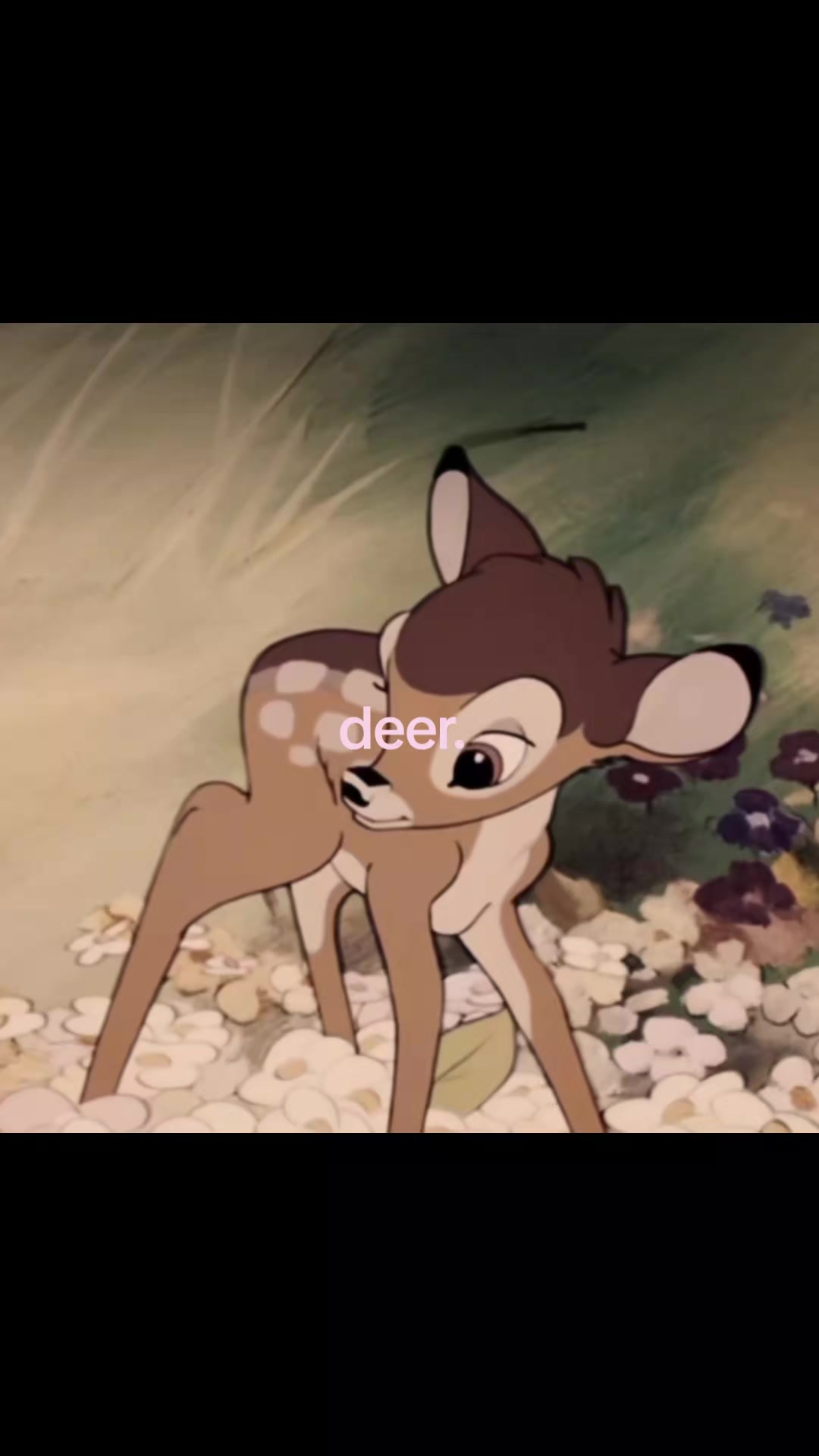 @𓏲ּ𝄢🦌
