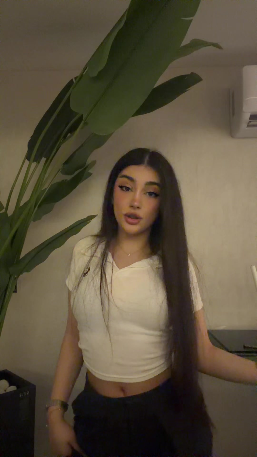 @callmegolsa