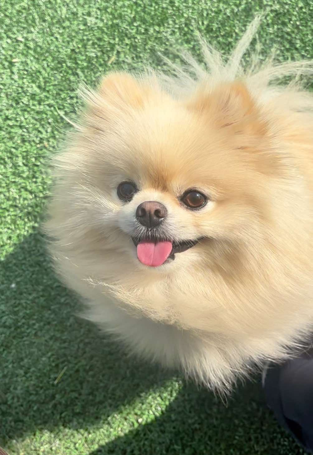@뿌쇽🐻&zwj;❄️🤍
