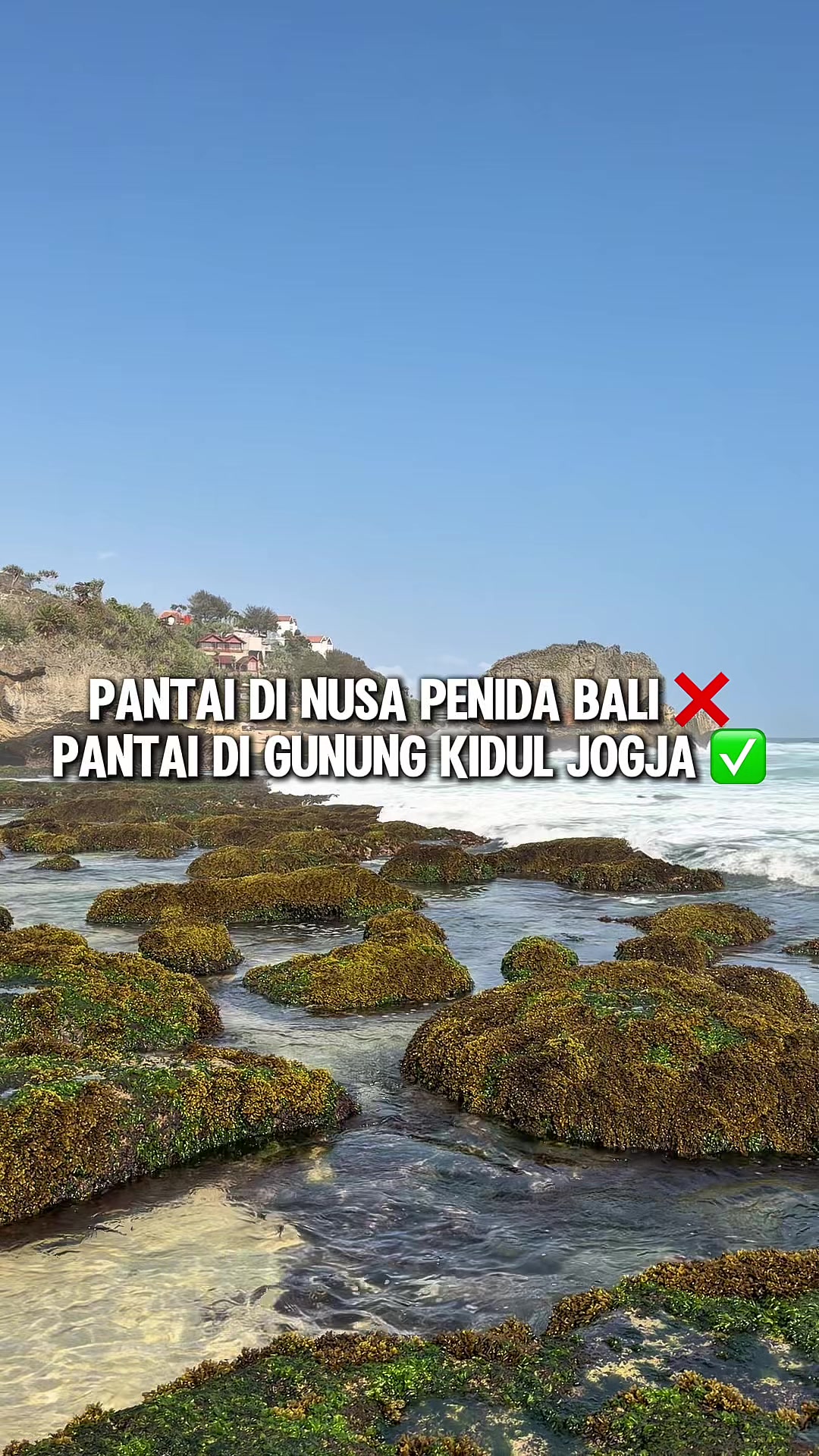 @Handy | Food & Travel