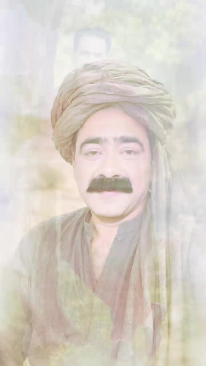 @Roy Aamir