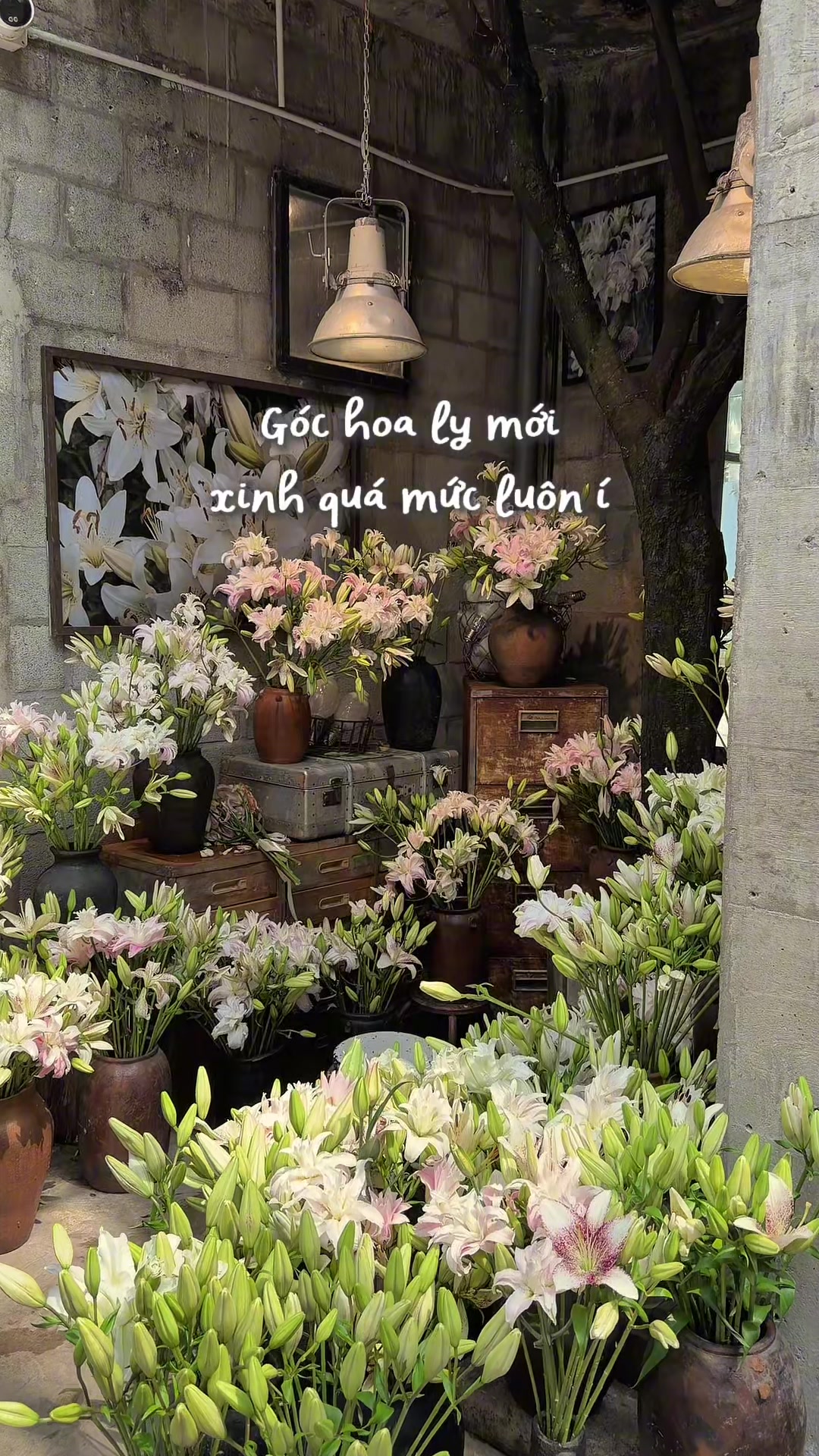 @&Uacute;t Cưng Đi Đ&acirc;u