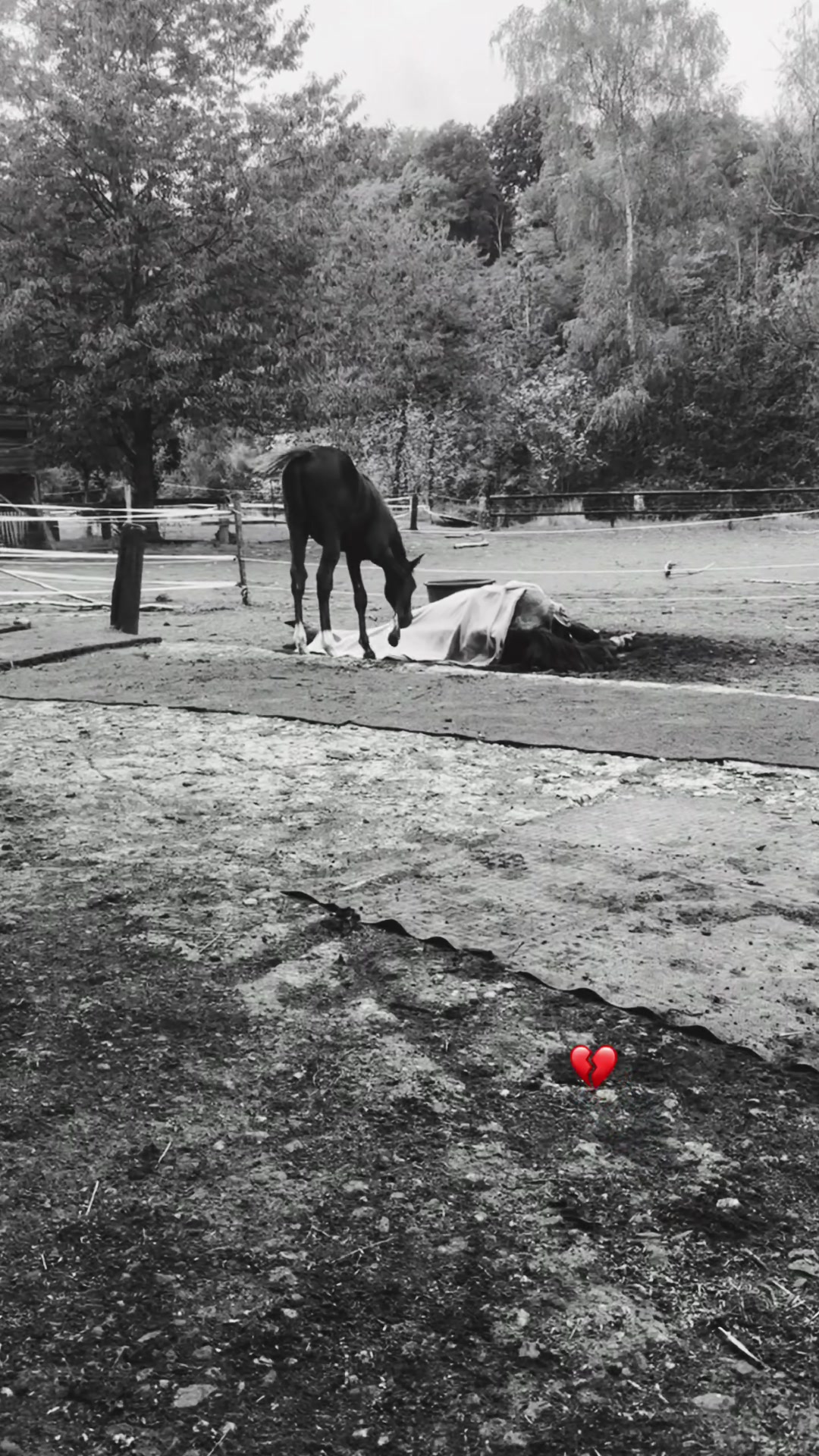 @Athosali