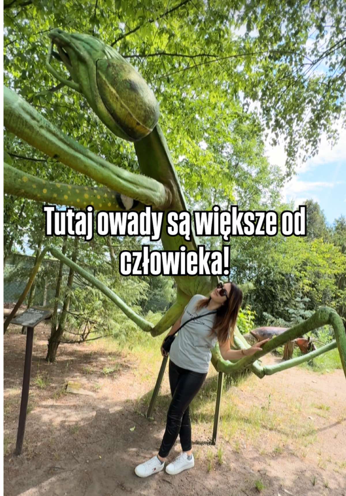 @Zwyczajna z Łodzi