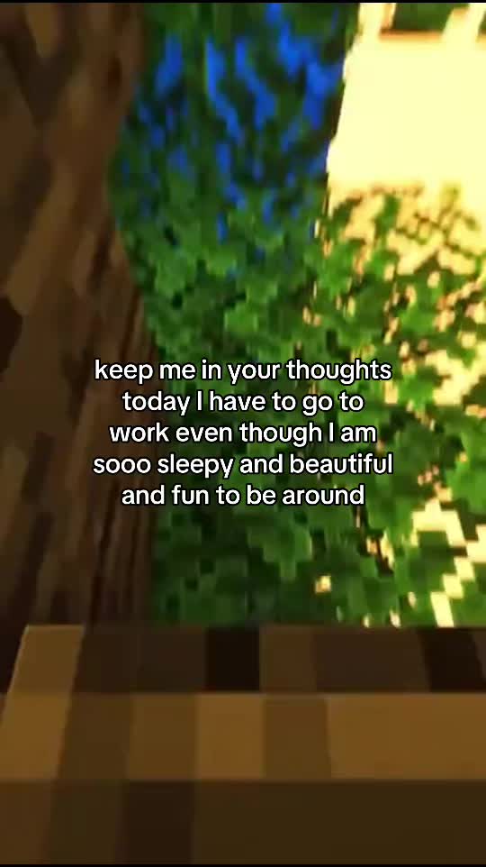 @steves.dreams