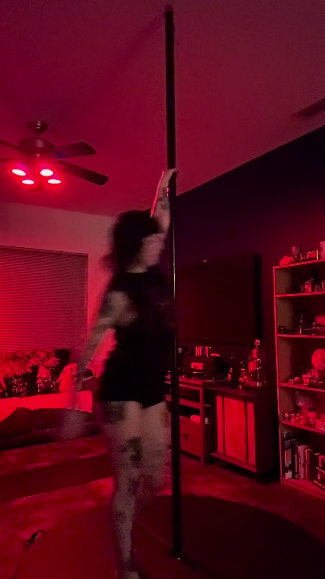 @Kobra🌛🦇