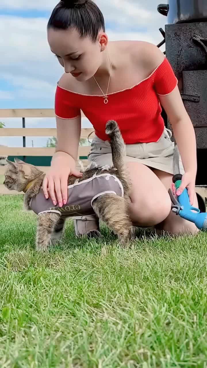@maluk