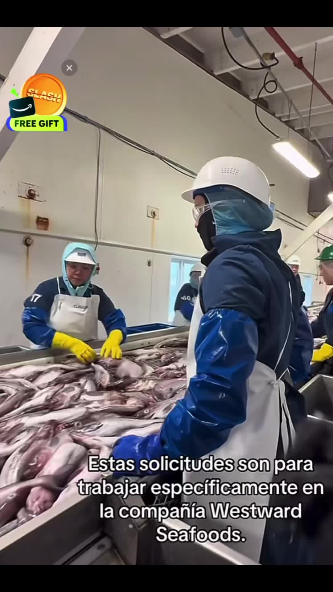 @El mundo de Blanca