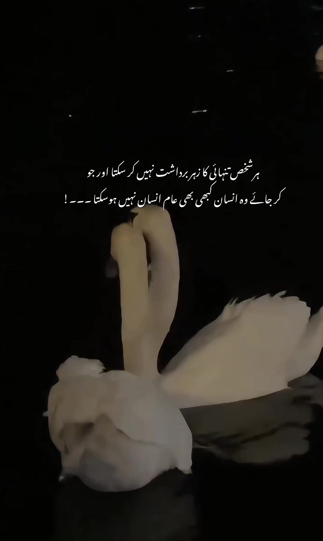 @ᥫ᭡𝐈𝐒𝐇𝐔⏤͟͟͞͞🦢🌷
