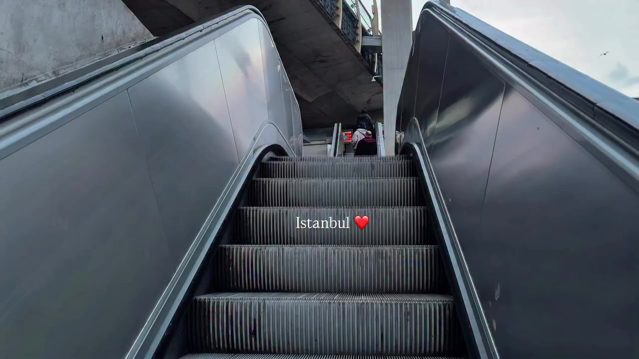 @𝐒𝐇𝐈𝐍𝐍𝐈𝐍𝐆 𝐒𝐓𝐀𝐑 ♡︎🦢