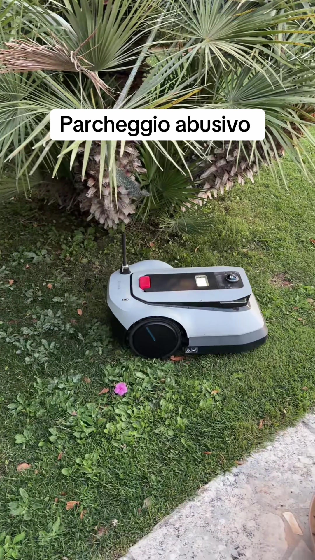 @Aldo Ricci - Conneehome.com