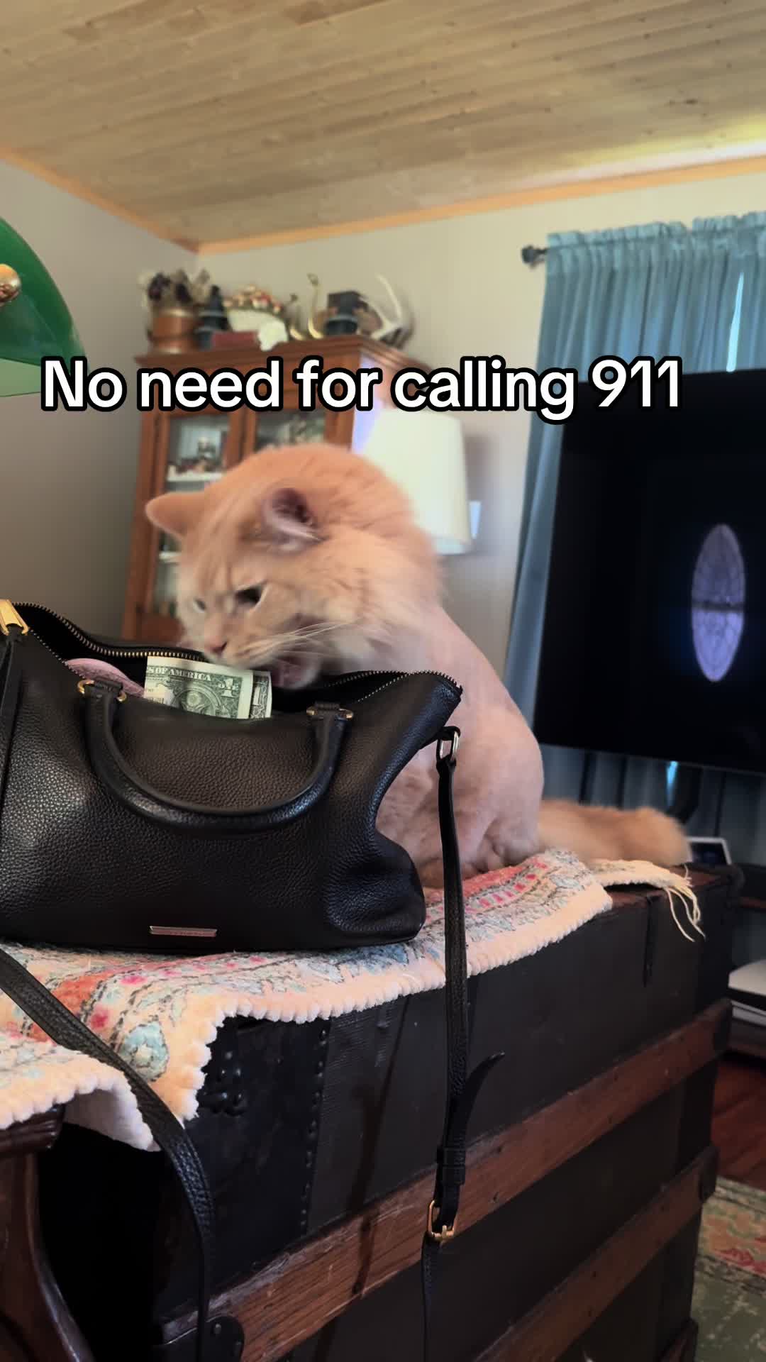 @shelburritosupreme