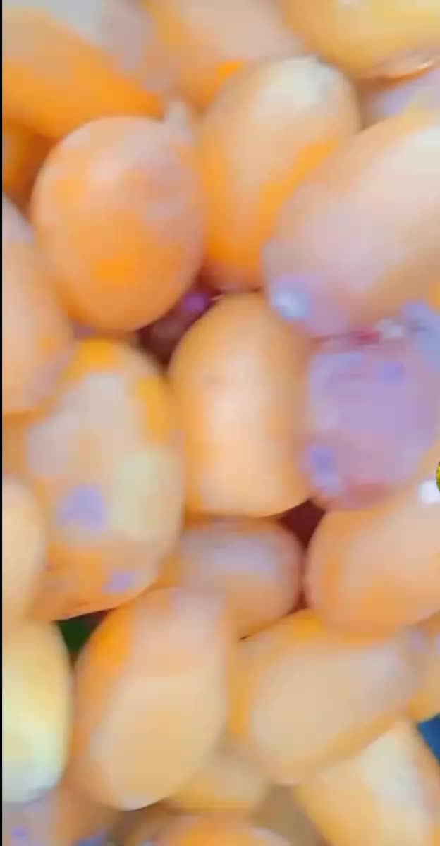 @shahzadi