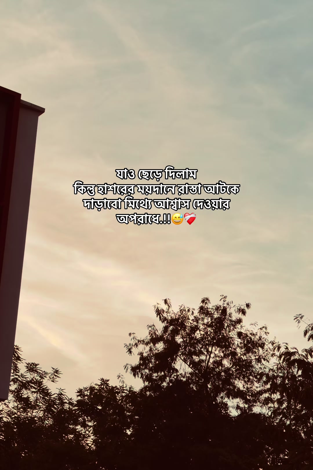 @आईएएन ┊🐥