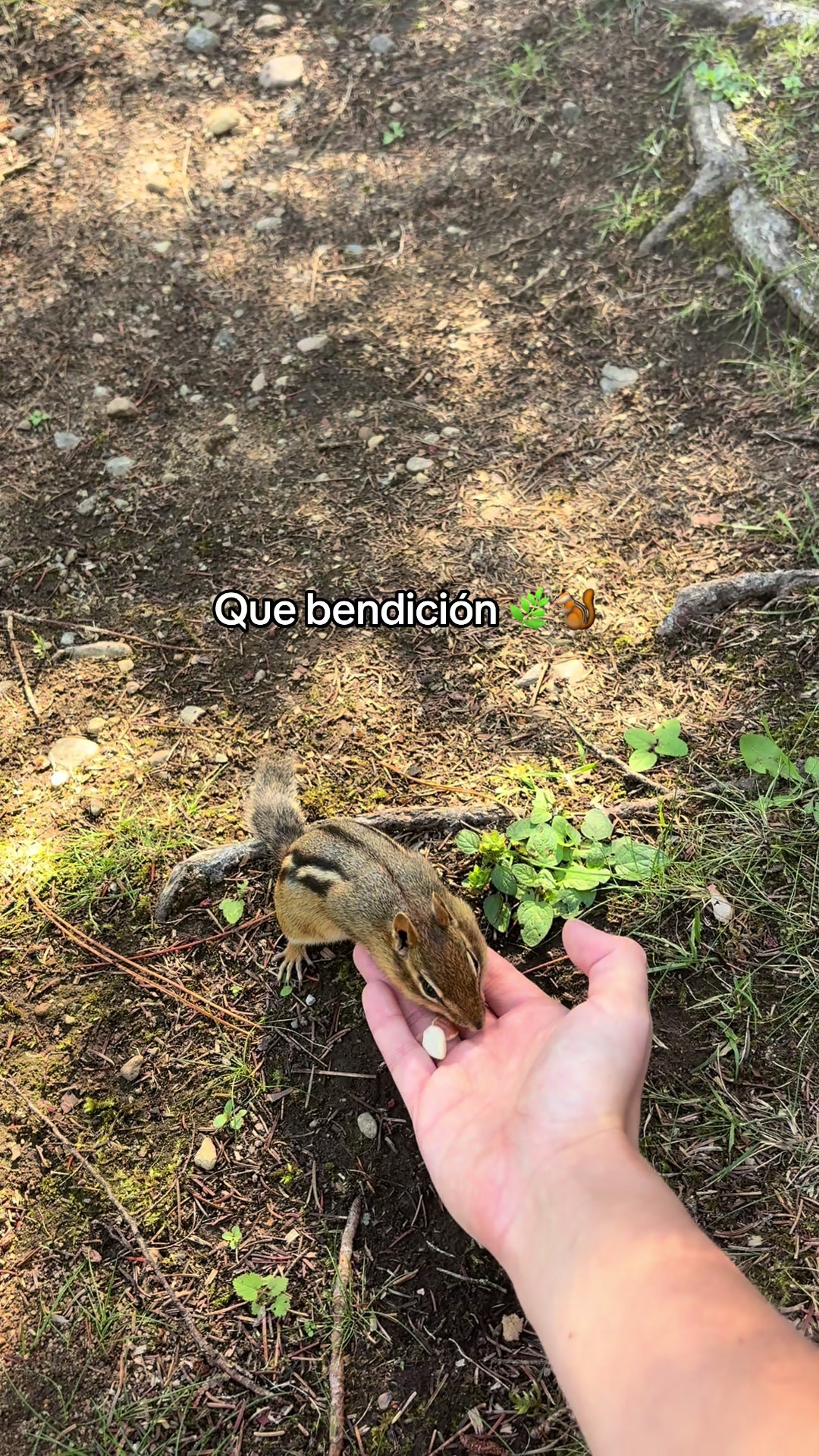 @Sana 🦋☀️🌴