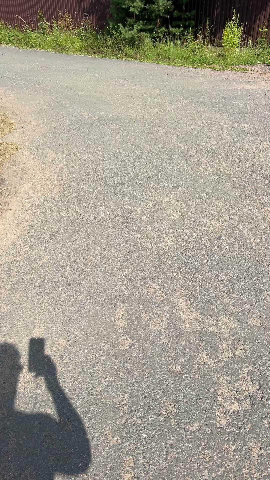 @Оля